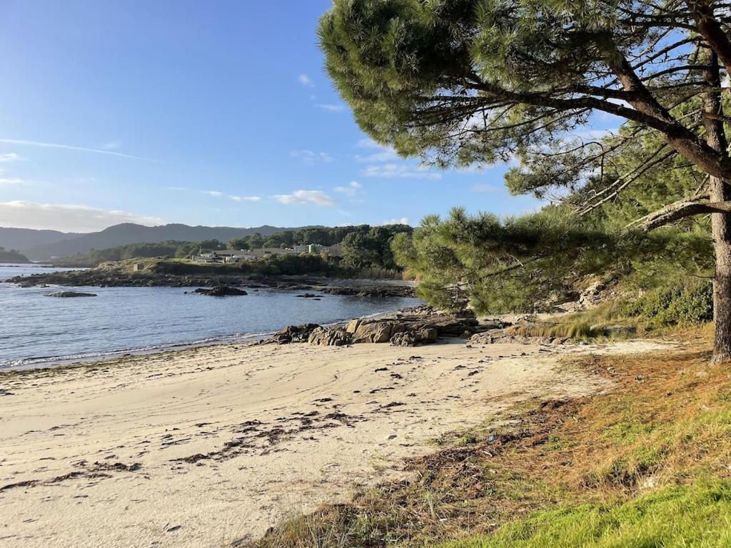 Hébergement de vacances Camino De Rosa's